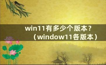 win11有多少个版本？ （window11各版本）